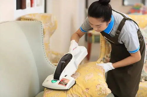 家政公司擴展婚姻介紹服務(wù) 多元化加盟新機遇