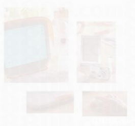 從乾花擺飾到攝影藝術 探索生活美學與情感記錄的雙重魅力